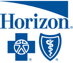 horizon logo 2